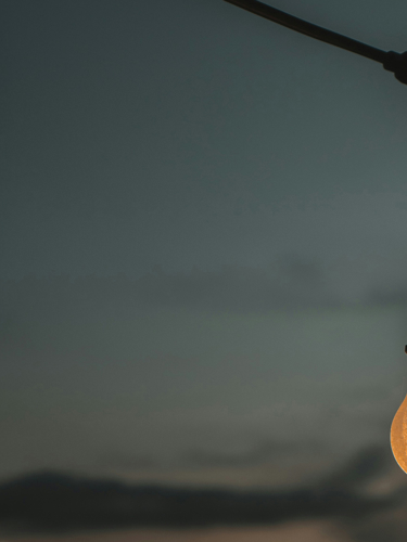 hängande glödlampa